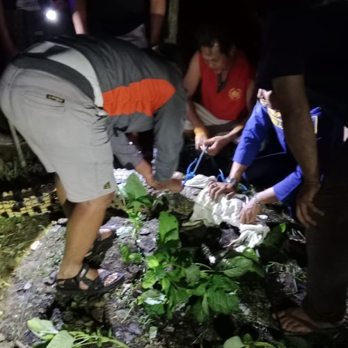 Petugas Damkar Pos 6 Palaran berhasil Evakuasi Buaya